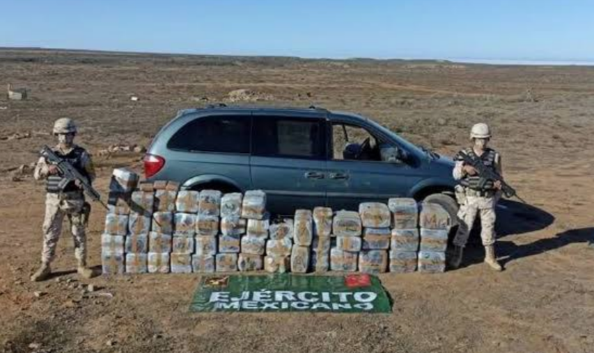Sedena decomisa 680 kilos de droga sintética y 61 mil pastillas de ...